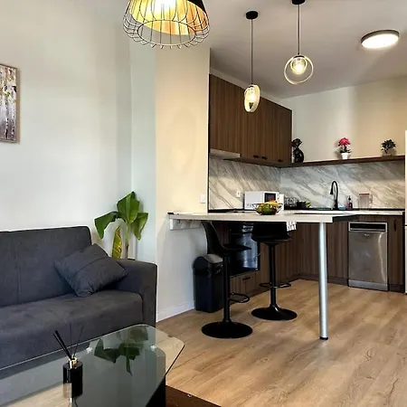 Luxury Duplex In Center Apartment